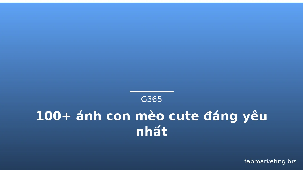 100+ ảnh con mèo cute đáng yêu nhất · ảnh 1