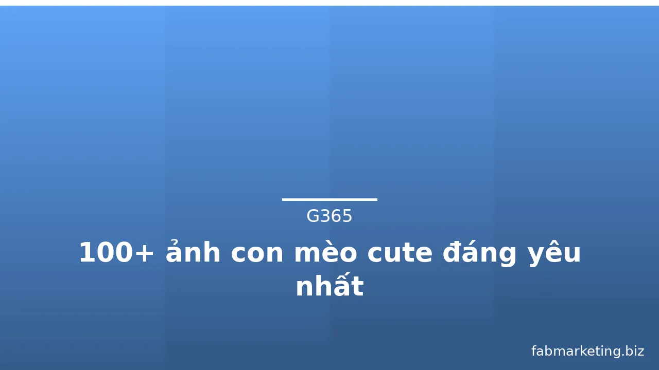 100+ ảnh con mèo cute đáng yêu nhất · ảnh 3
