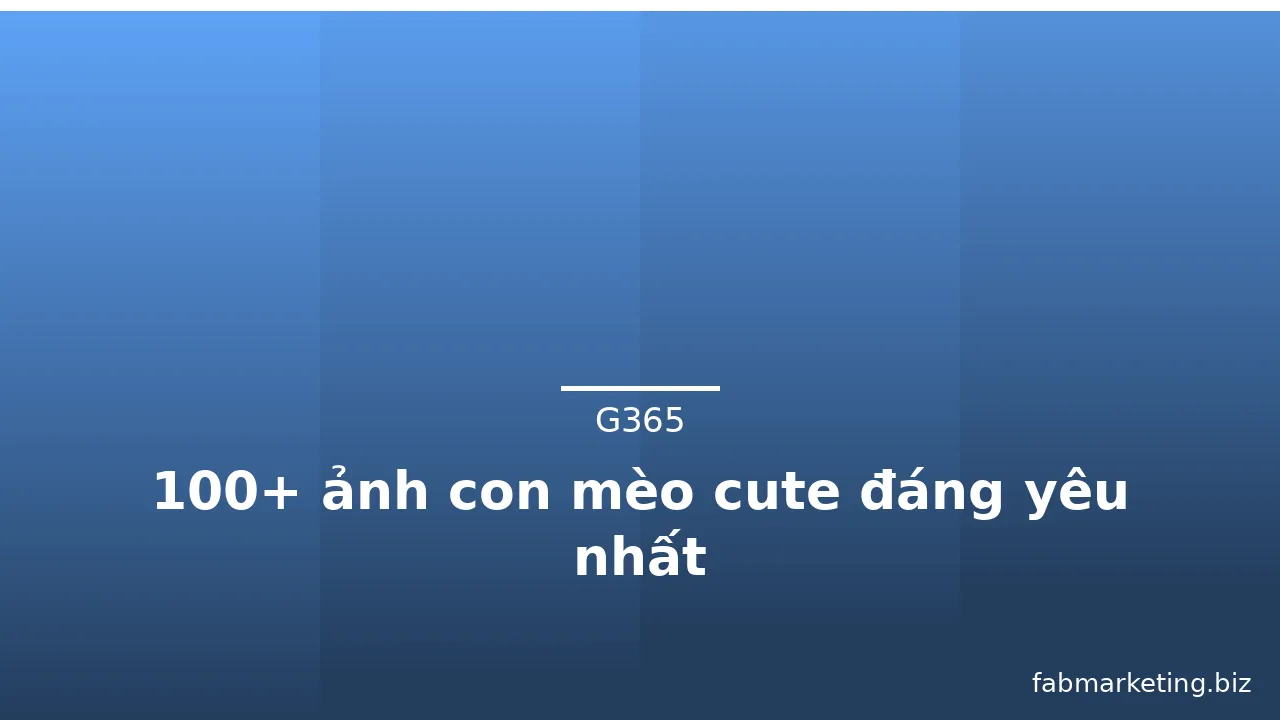 100+ ảnh con mèo cute đáng yêu nhất